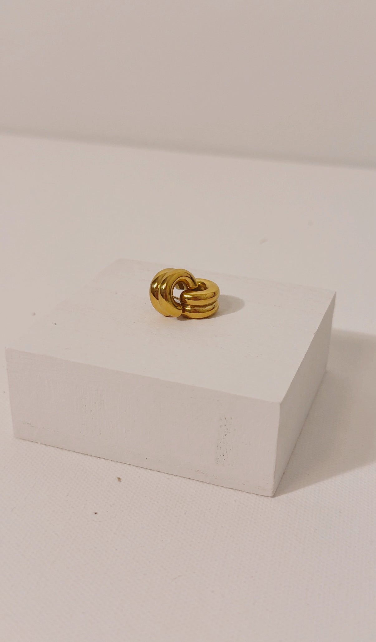 The Whitney Hoops (Silver & Gold)