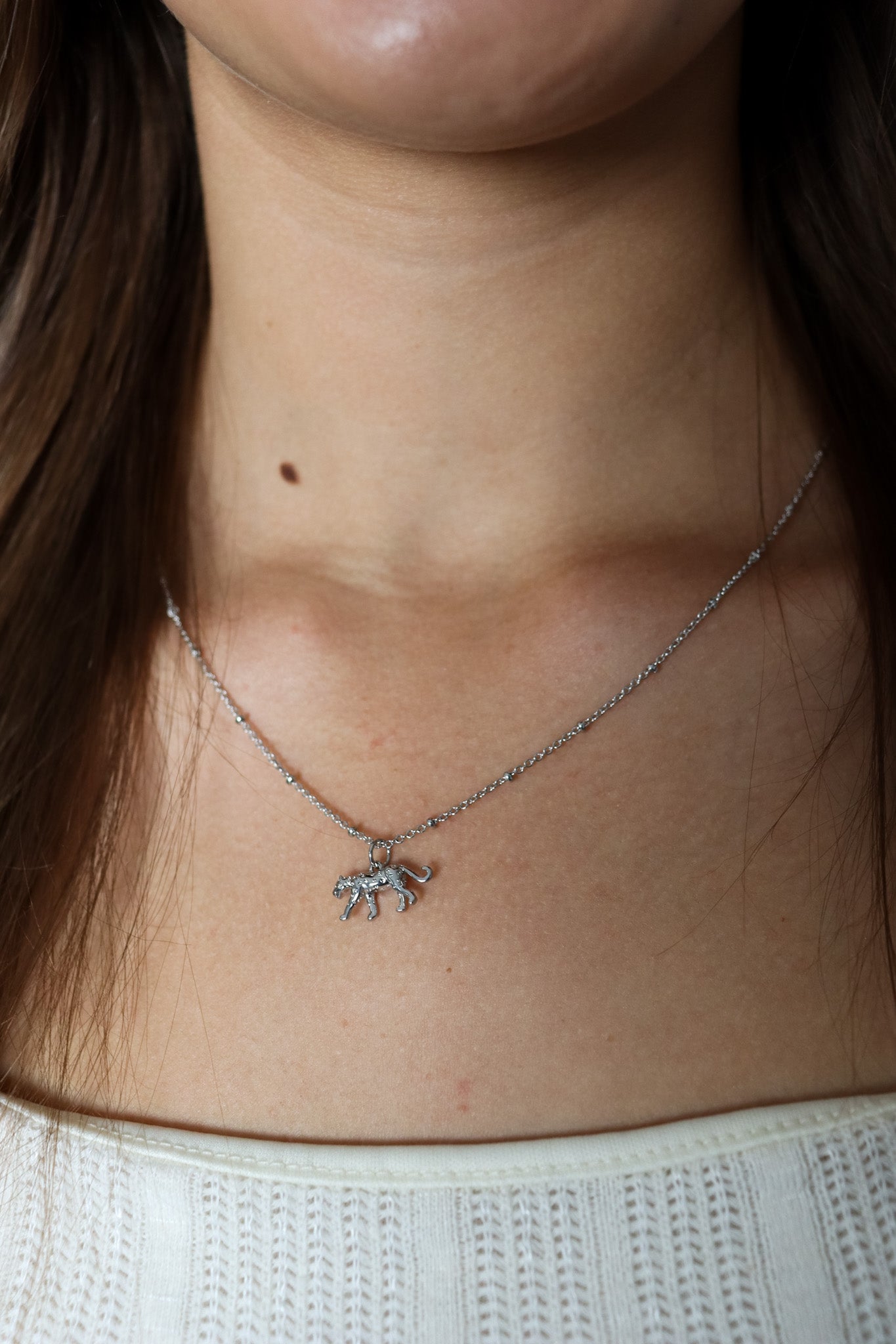 wild & free leopard necklace- silver - Necklace